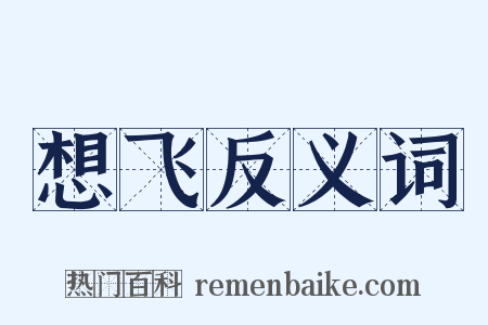 想飞反义词是什么意思的图片